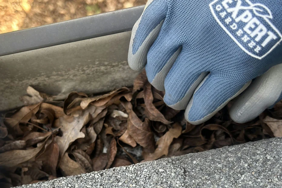 Gutter Cleaning Christiansburg