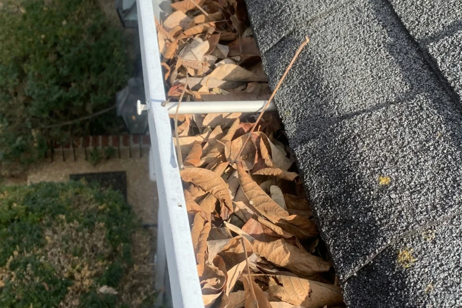 Gutter Cleaning Christiansburg